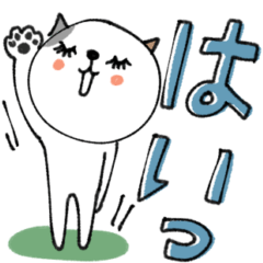 [LINEスタンプ] mottoのねこすたんぷ♡シンプル