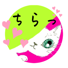 [LINEスタンプ] ちらっとねこにゃんスタンプ8気軽に可愛く