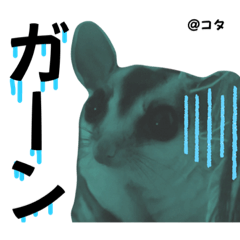 [LINEスタンプ] コタ・ムタ・ウタ／ふぇれももん村