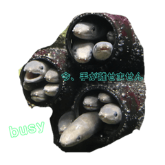 [LINEスタンプ] 一日中毎日使える生き物スタンプ
