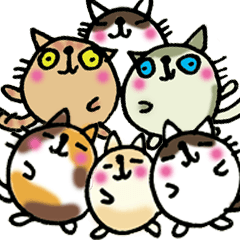 [LINEスタンプ] コロコロにゃんこ第4弾