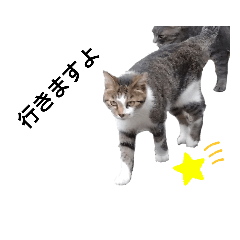 [LINEスタンプ] ミーナ家族1