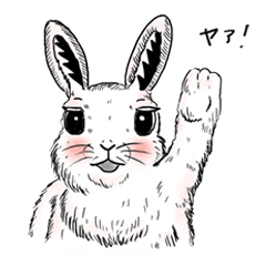 [LINEスタンプ] 今年の顔うささん