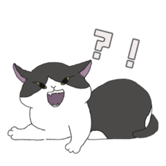 [LINEスタンプ] 【家族連絡用】あおとこなつ