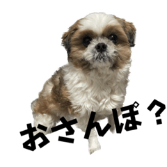 [LINEスタンプ] ぷちっとあーるstamp