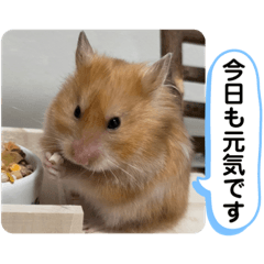 [LINEスタンプ] 可愛いこつぶの日常3