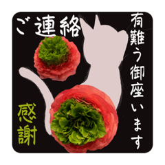 [LINEスタンプ] 花と感謝を大切なお客様にお届けスタンプ猫