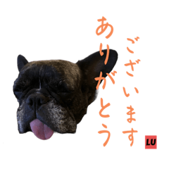 [LINEスタンプ] ルロみ