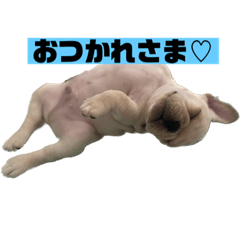 [LINEスタンプ] 真育と大尊♡第8弾♡ベビタン編