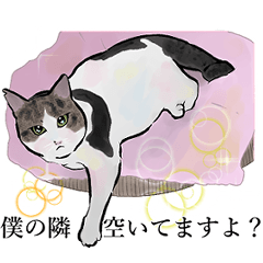 [LINEスタンプ] かわいくてごめん♡なねこにゃんず