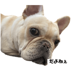 [LINEスタンプ] 真育と大尊♡第9弾♡