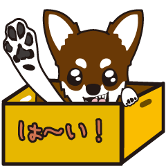 [LINEスタンプ] チワワ（チョコタン）と一緒に