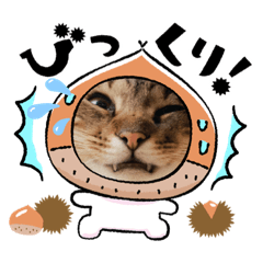 [LINEスタンプ] あにまるママの幸せ