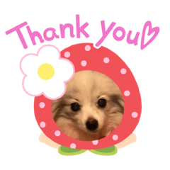 [LINEスタンプ] ハニ子ちゃん♡