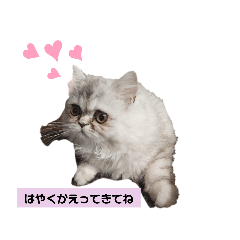 [LINEスタンプ] ラガマフィンのマフィンさん