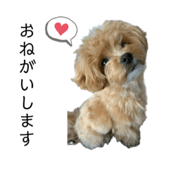 [LINEスタンプ] 犬のロキくん#3