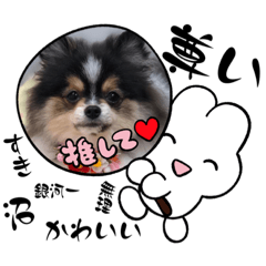 [LINEスタンプ] ももちの使えるスタンプ