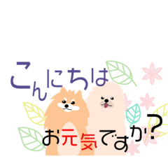 [LINEスタンプ] ポメラニアンの挨拶気持ち