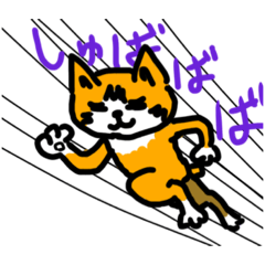 [LINEスタンプ] かいねこコマチャーン