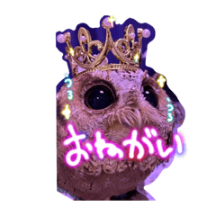 [LINEスタンプ] フクロウとイヌたち