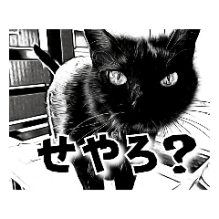 [LINEスタンプ] 漫画風うちの黒猫にゃんズ4＆パピヨン先輩