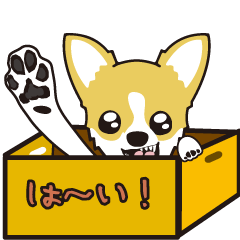 [LINEスタンプ] チワワ（クリーム）と一緒に