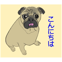 [LINEスタンプ] sukeのパグちゃんスタンプ6