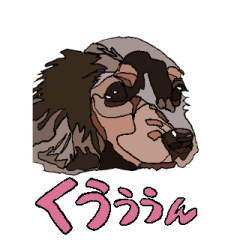 [LINEスタンプ] シルバーダップルダックスちゃんのきもち