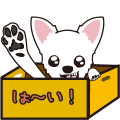 [LINEスタンプ] チワワ（ホワイト）と一緒に