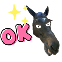 [LINEスタンプ] お馬さんの1日