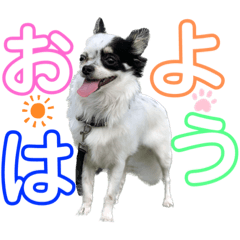 [LINEスタンプ] @EMA＆Tiamo