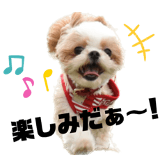 [LINEスタンプ] リコ＆タラ♡