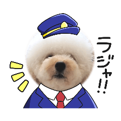 [LINEスタンプ] 愛犬❤ココ面白スタンプ【ヒロ御朱印.com】