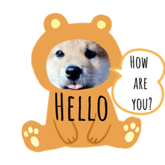 [LINEスタンプ] うちの柴犬ゴンのつぶやき
