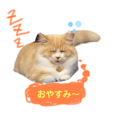 [LINEスタンプ] マンチカンのマヨ2の画像（メイン）