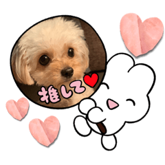[LINEスタンプ] ちくちゃん専用すたんぷ