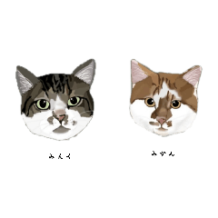 [LINEスタンプ] * *みんく＆みかんのスタンプ* *修正版