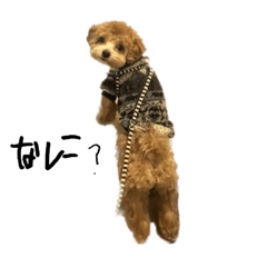 [LINEスタンプ] ムチャチャ2