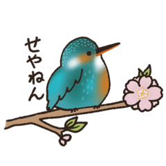 [LINEスタンプ] かわいい鳥さんのスタンプ