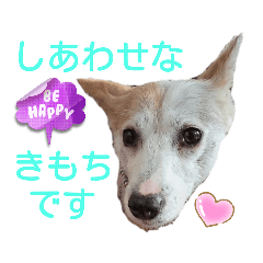 [LINEスタンプ] レーベンっ子のおしゃべり4