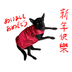 [LINEスタンプ] 好球sticker（中国語/日本語）【日常】#1