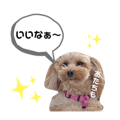 [LINEスタンプ] 大塚家のペットシリーズ「あたちにこたん」