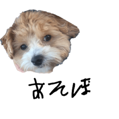 [LINEスタンプ] ムチャチャ3の画像（メイン）