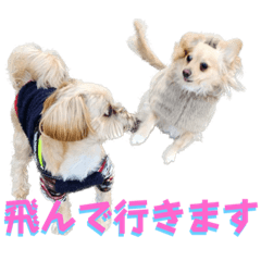 [LINEスタンプ] クリームモフ