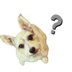 [LINEスタンプ] ひなうみちょこ