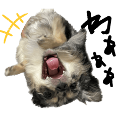 [LINEスタンプ] イズ様とロイ様。時々オレオ