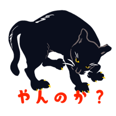 [LINEスタンプ] 黒猫ざべすのスタンプ