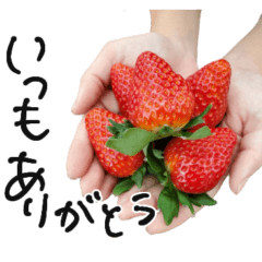 [LINEスタンプ] いちごのシンプルスタンプ