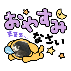 [LINEスタンプ] 動物とアバタースタンプ