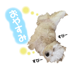 [LINEスタンプ] マルプーのもなかちゃん♡